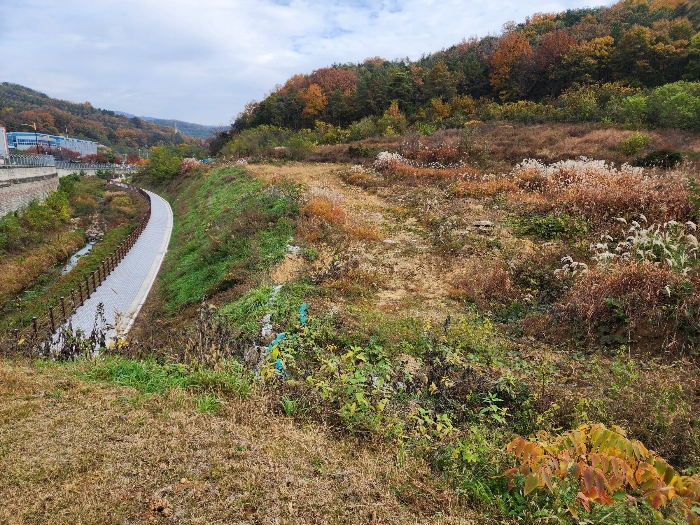 기호 1-4,8) 남서측