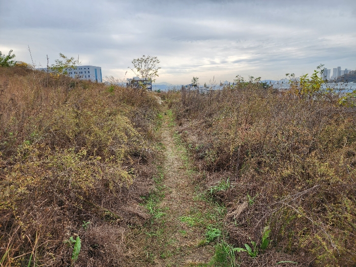 기호 1,2,8) 경계부근의 농로