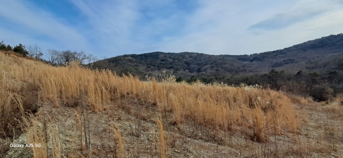 본건 일련번호(3) 전경
