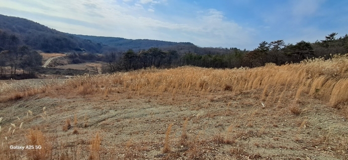 본건 일련번호(3) 전경
