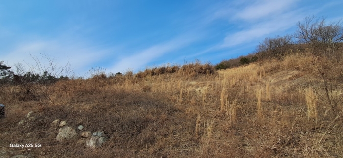 본건 일련번호(3) 전경
