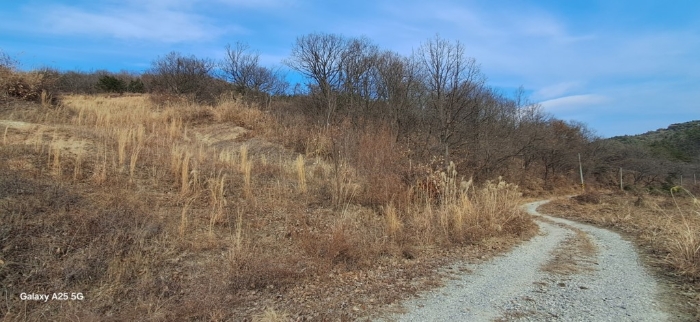 본건 일련번호(4) 전경
