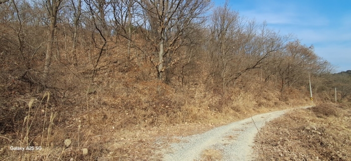 본건 일련번호(4) 전경
