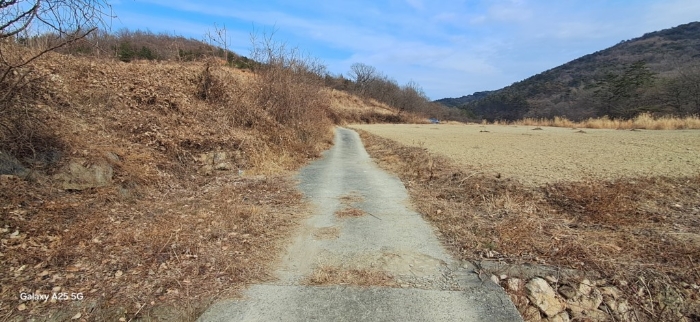 본건 일련번호(4) 전경
