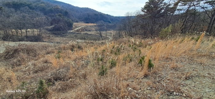 본건 일련번호(1) 전경
