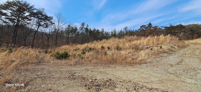 본건 일련번호(1) 전경
