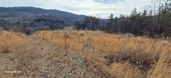 본건 일련번호(1) 전경
