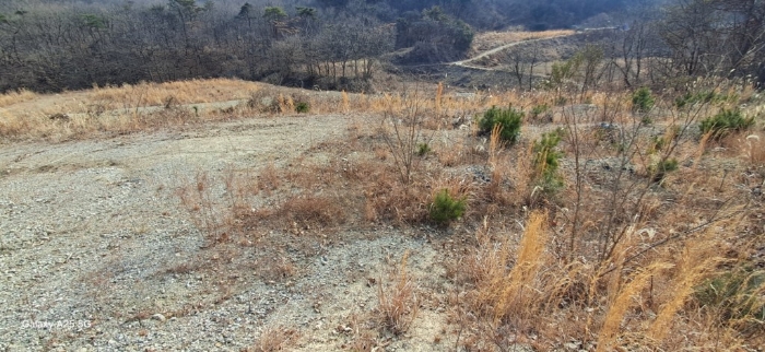 본건 일련번호(2) 전경

