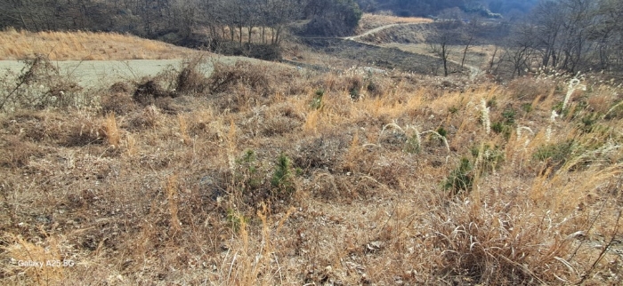 본건 일련번호(2) 전경
