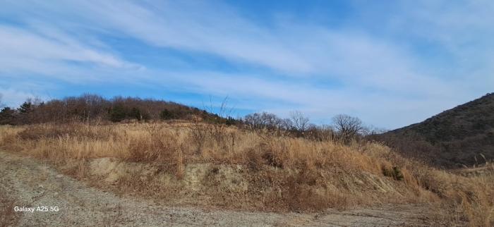 본건 일련번호(3) 전경
