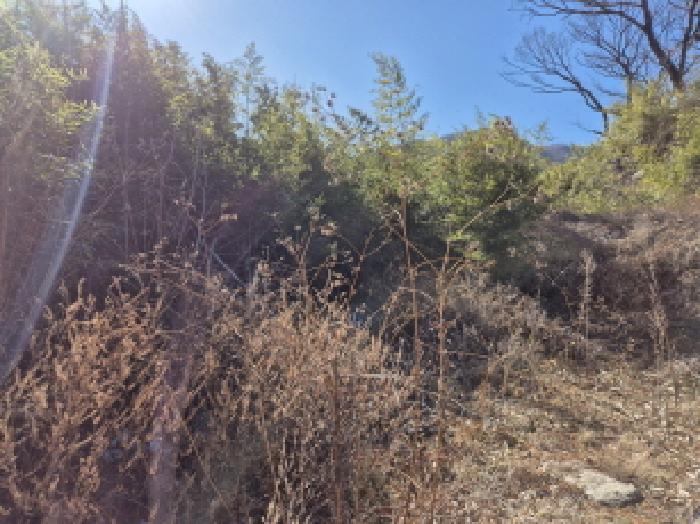 부동산의표시4~