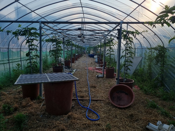 제시외건물㉠ 내부 전경