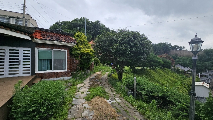 토지 기호 3 사진