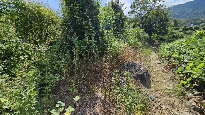 토지 기호 11 사진