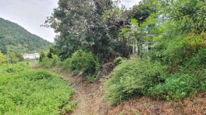 본건5,11 및 주변