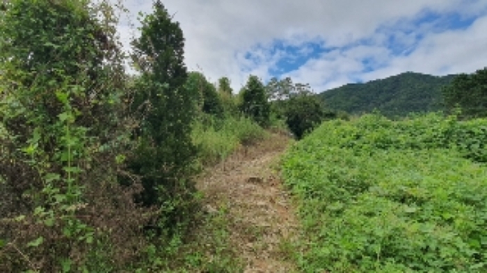 본건5,11 및 주변