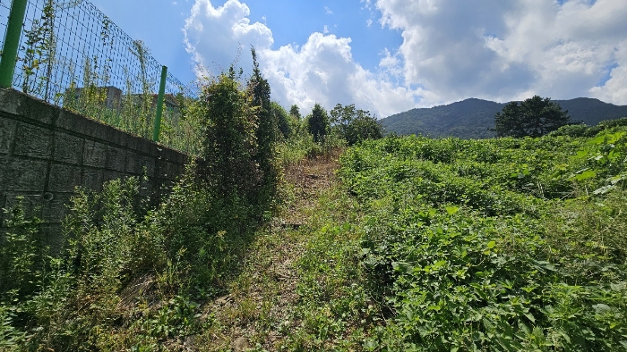 토지 기호 5 사진