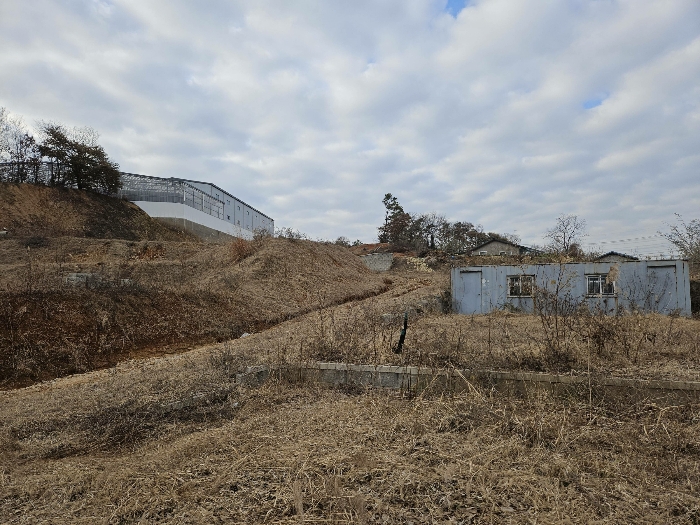 본건 토지 일부