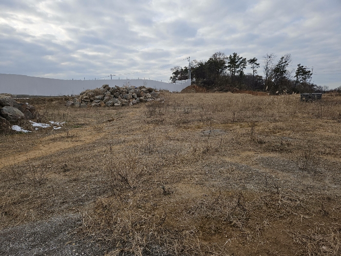 본건 토지 북측 모습