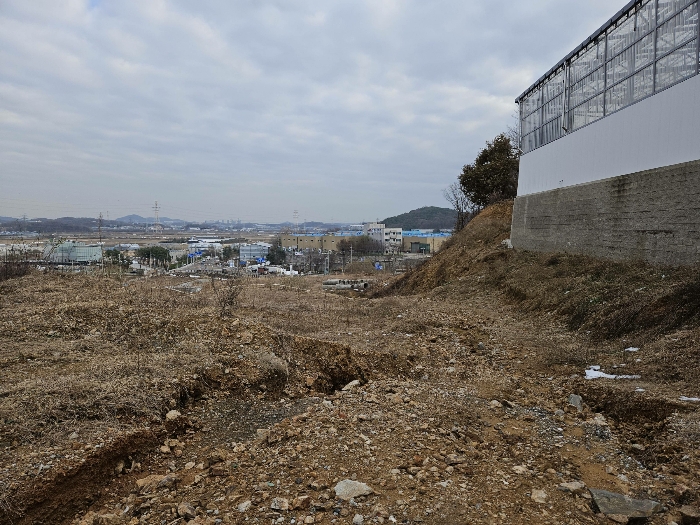 본건 토지 북측에서 본 모습