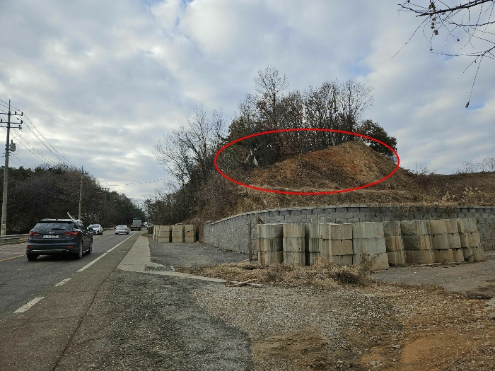 본건 토지중 제외지(자연림)