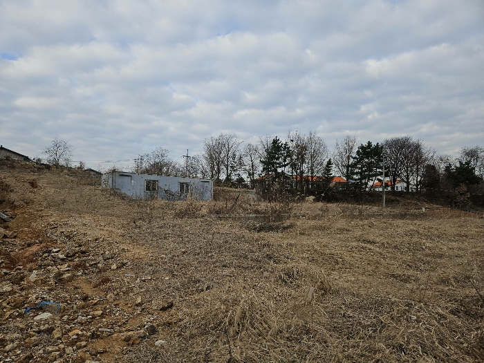 본건 토지 남측 일부