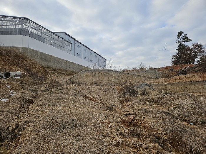 본건 토지와 인접 공장의 모습