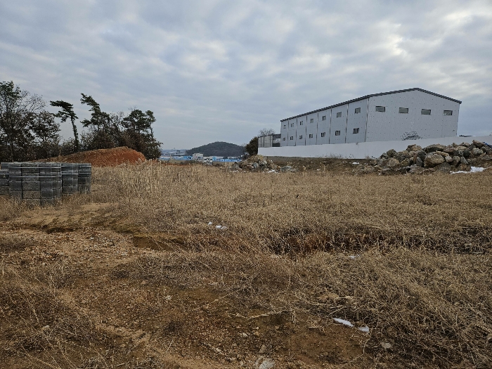 본건토지 북측에서 본 모습