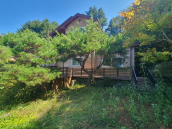 현장사진(토지,건물 전경)