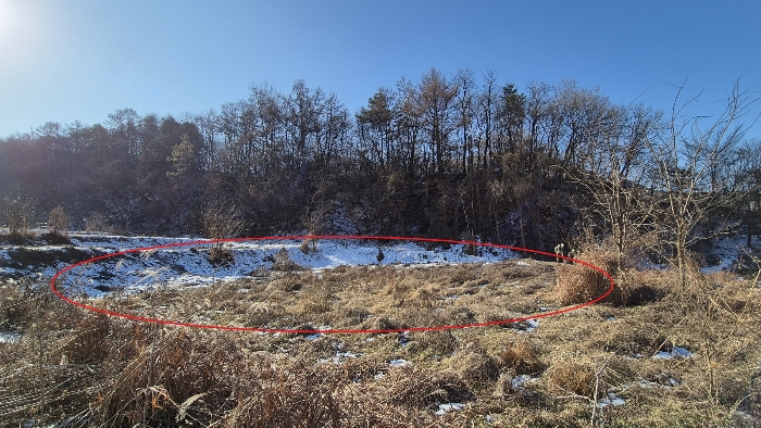 본건전경(기호1)