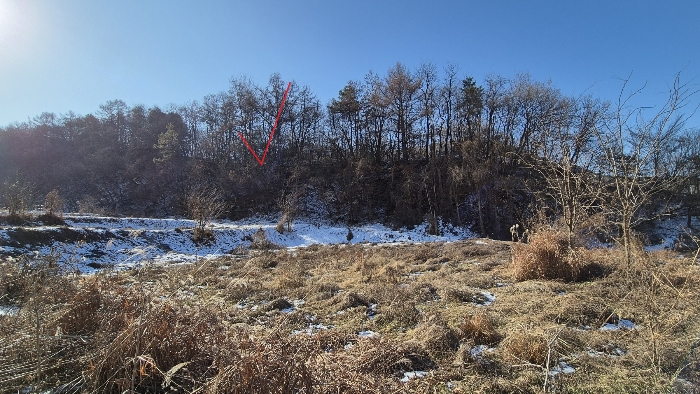 본건전경(기호3)