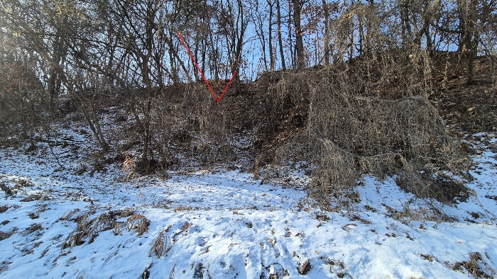 본건전경(기호3)