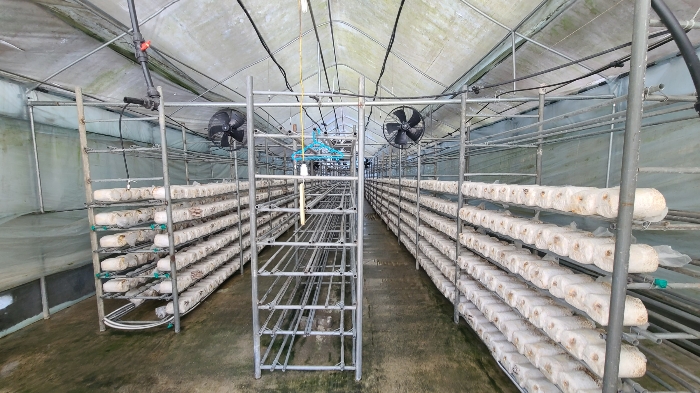 제시외건물(ㄱ-