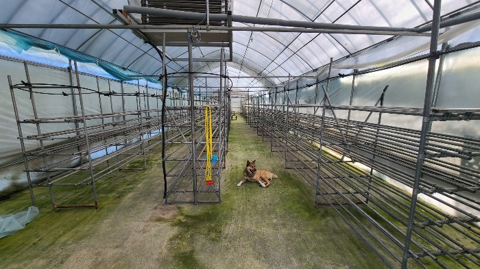 제시외건물(ㅂ)