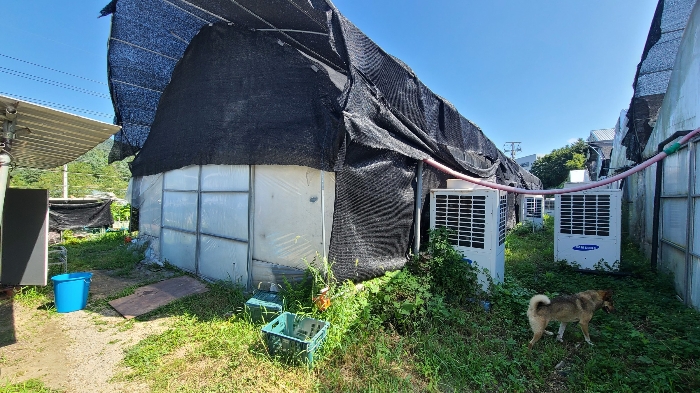 제시외건물(ㅂ)