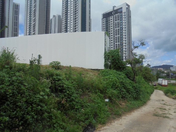 기호(3-8) 토지 북측 도로