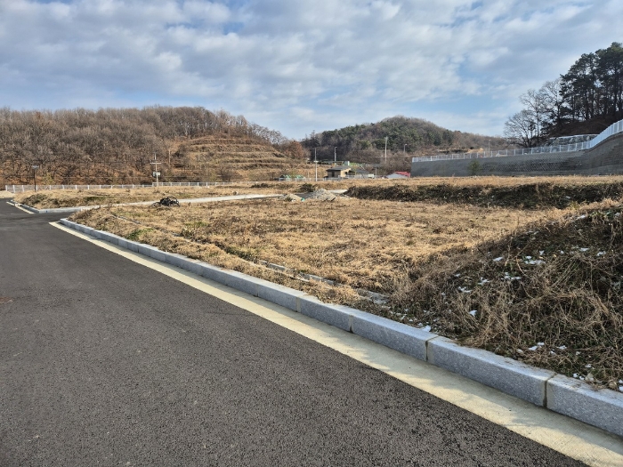 본건 허가지 전경