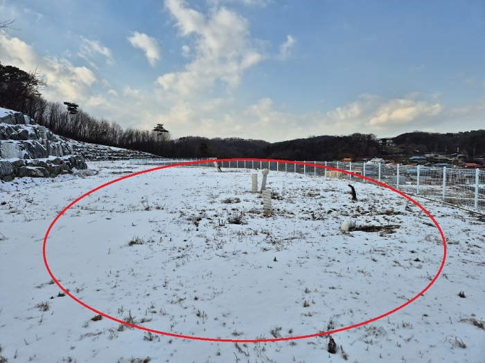 본건 허가지(석축위) 전경