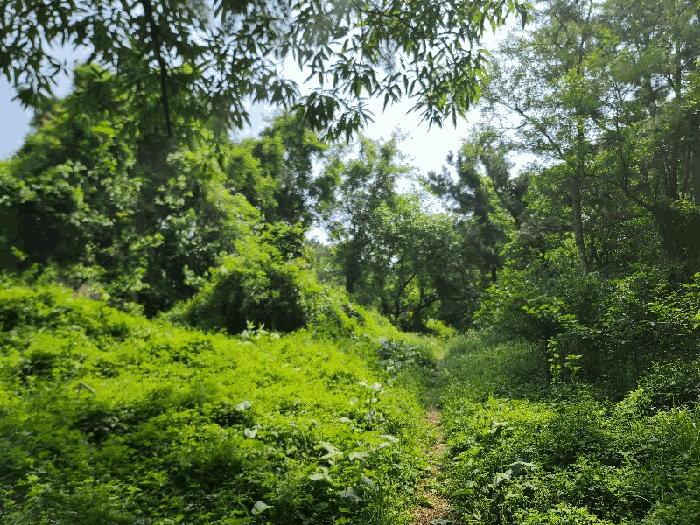 일련번호(2)