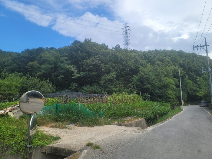 기호(1-3) 남서측에서 촬영