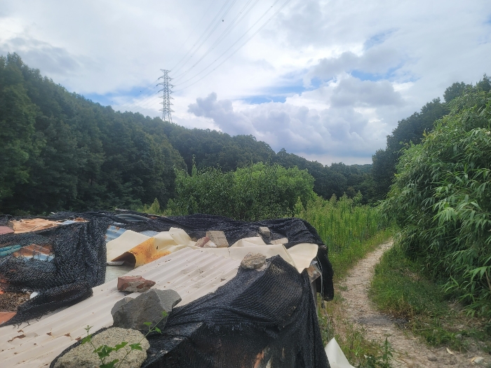 기호(1-3) 북서측에서 촬영