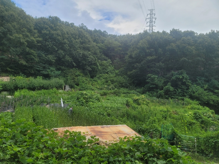 기호(1) 서측에서 촬영