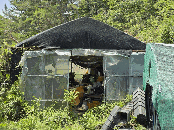 일련번호 2 지상 비닐하우스