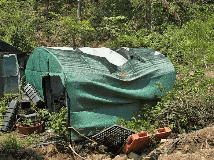 일련번호 2 지상 비닐하우스