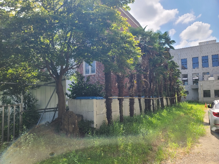 제시외수목(기호(1)지상)-타인소유