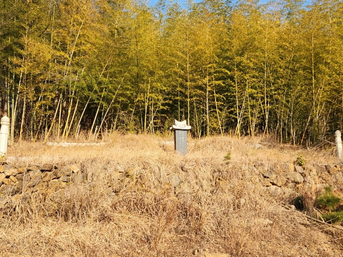 기호 7) 지상의 제시외 분묘