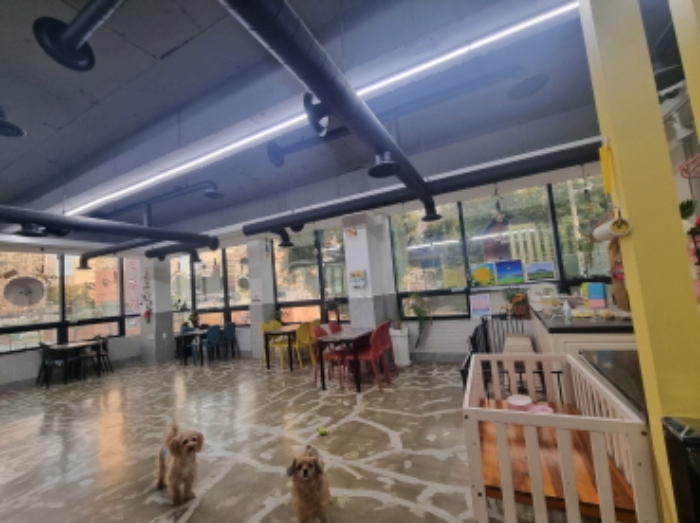 본건 2층 남측의 멍토피아의 내부 모습