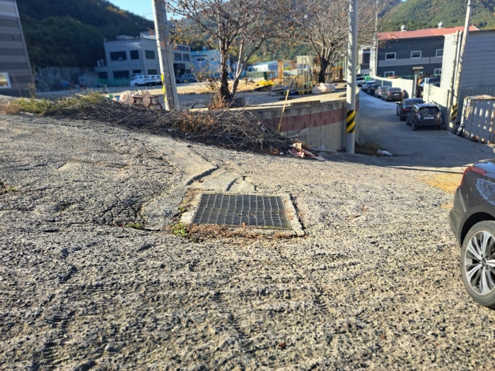 일련번호(2) 근경