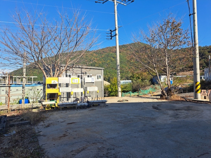 지상 수목
