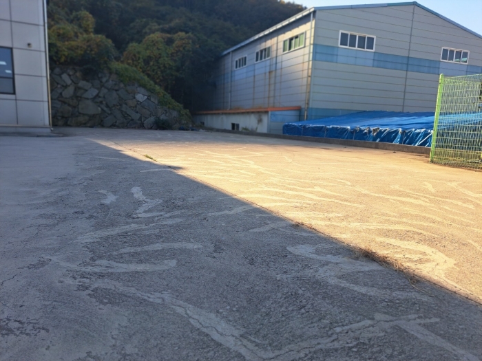 일련번호(5) 근경